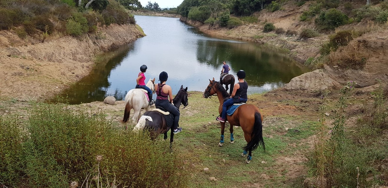 Royal Dream equestrian center