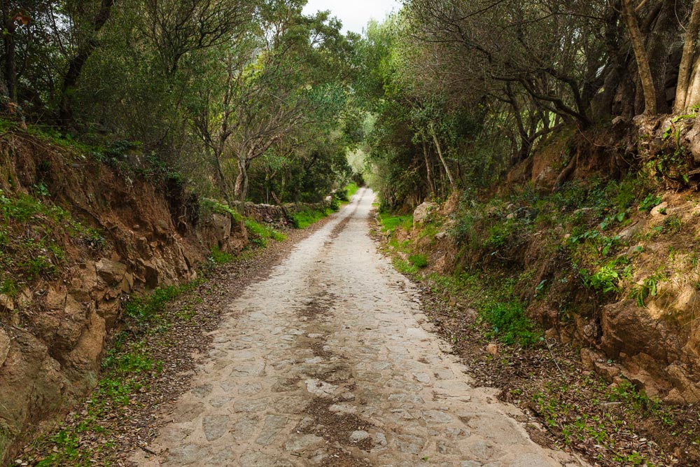 Trekking et excursions en Gallura. Voici ce qu’on peut faire à Luogosanto